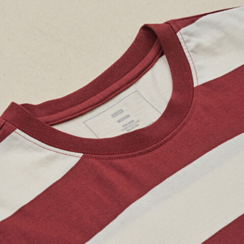 T-Shirt Globe Agius Striped