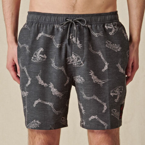 Boardshorts Globe Angius Poolshort