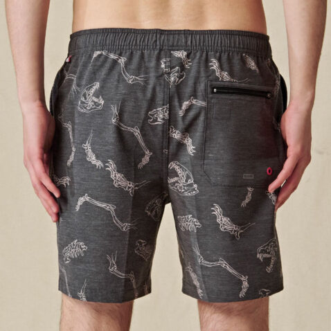Boardshorts Globe Angius Poolshort