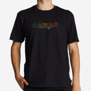 Billabong AI Hawaii