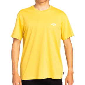 Billabong Arch Crew